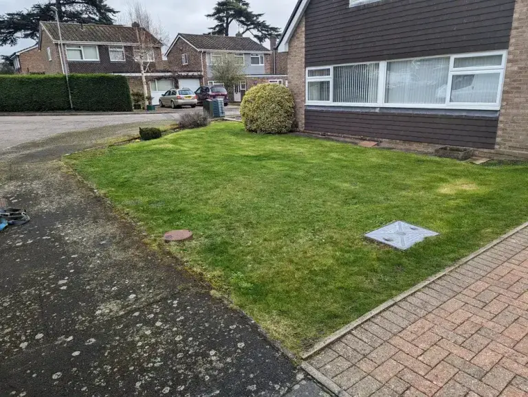 unkept front garden